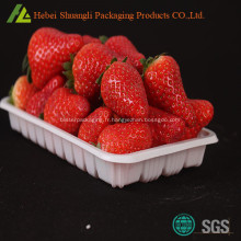 Petit plateau de fruits en plastique PP de la fraise